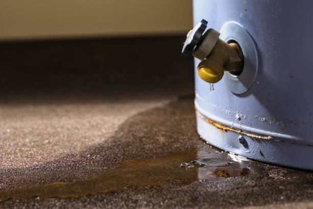 Best Water damage restoration services  in Emmaus, PA