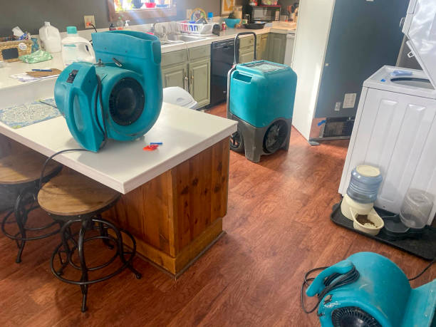 Best Water damage restoration near me  in Emmaus, PA