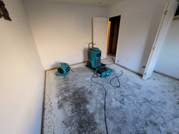 Best Water damage restoration company  in Emmaus, PA