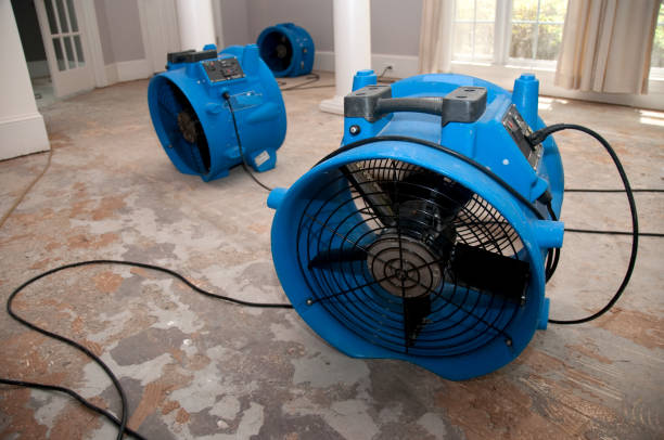 Best Flood damage cleanup  in Emmaus, PA
