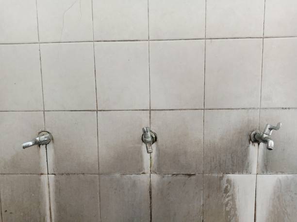 Best Water damage restoration specialists  in Emmaus, PA