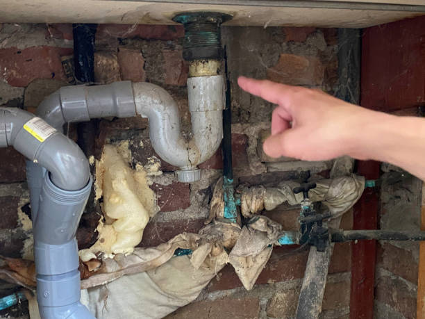 Best Professional water damage repair  in Emmaus, PA